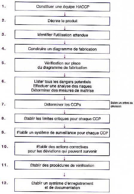 exemple d application de haccp