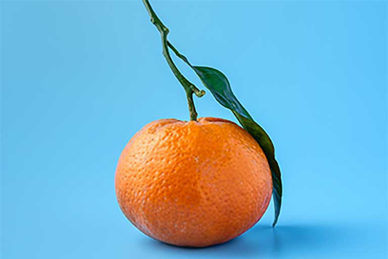 Agroalimentaire