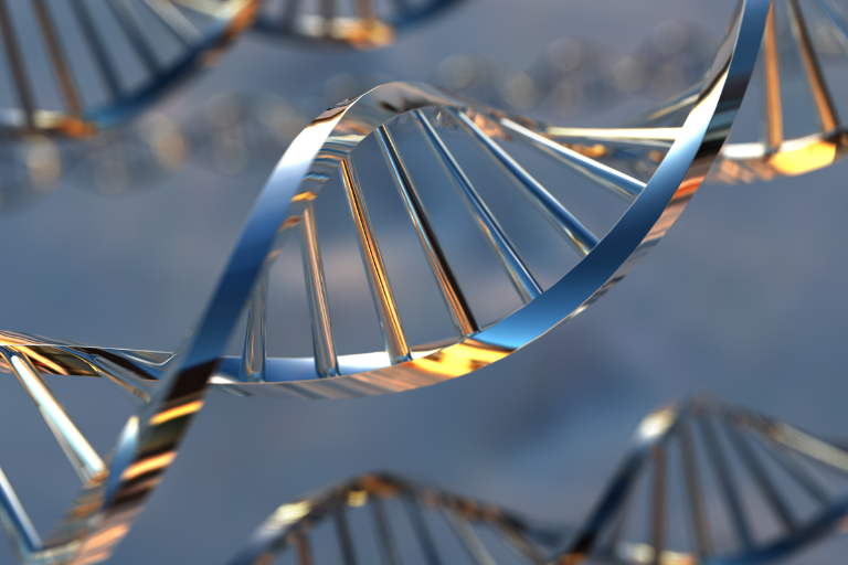 Série de Webinaires sur l'offre NGS