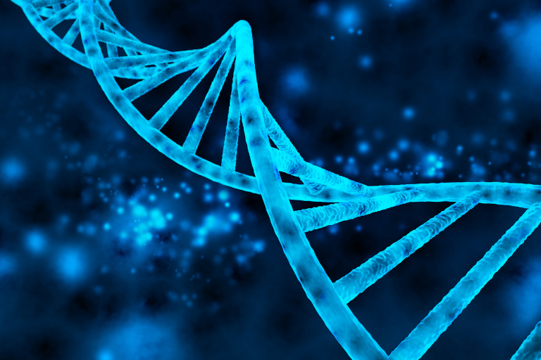Tracking de Salmonella via WGS