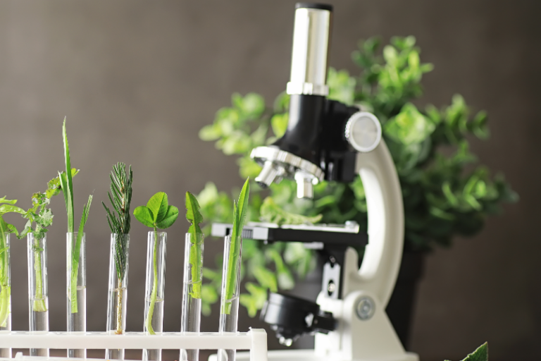 Accompagnement pour évaluation ISO 17025