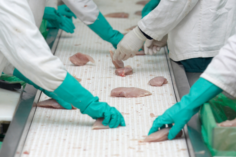 Campylobacter