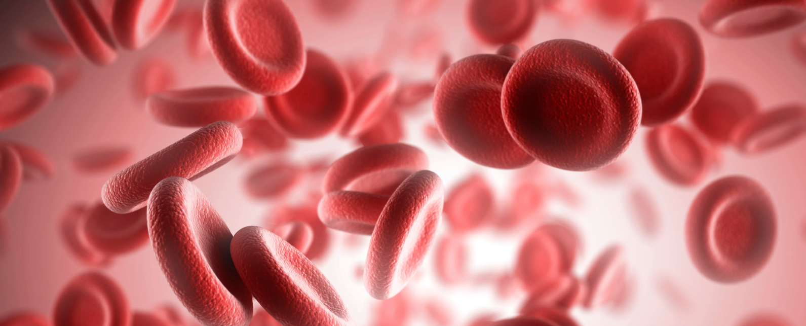 Hemocompatibility Banner