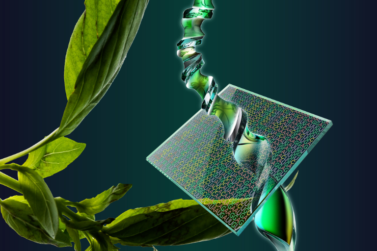 Génotypage végétal