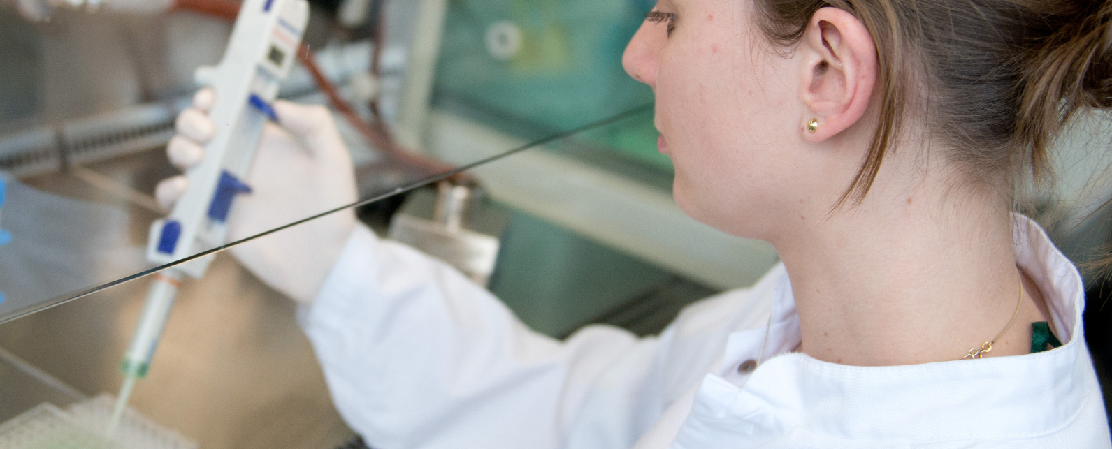 In vitro Alternatives for Biocompatibility Banner