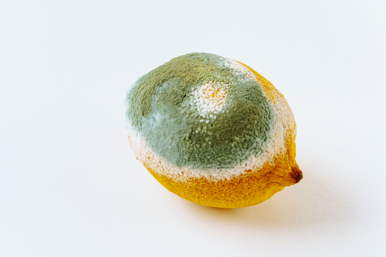 Altérations alimentaires