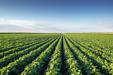 Agriculture Biologique / produits BIO