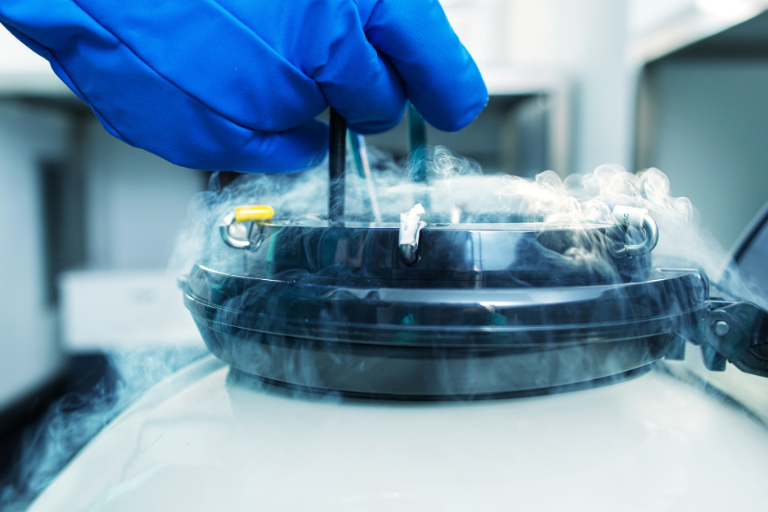 Banque microorganismes/cryoconservation