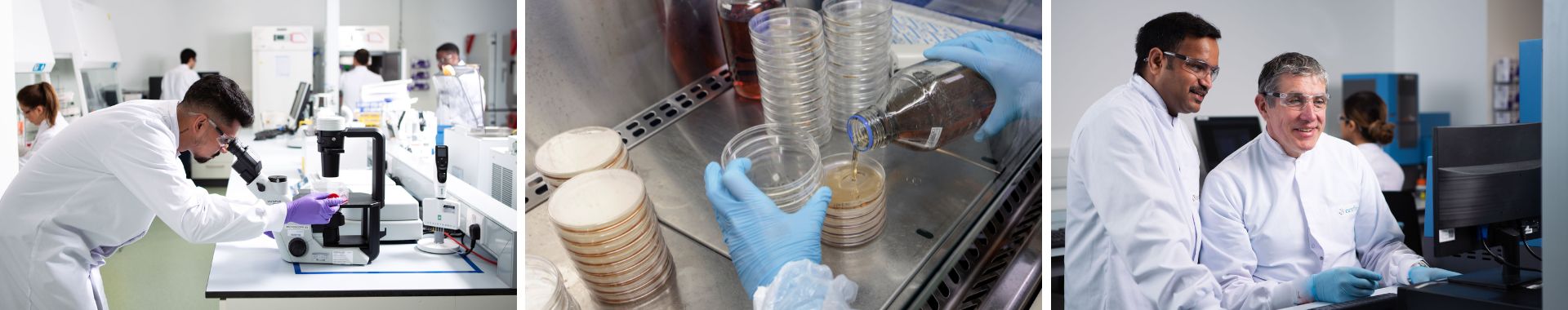 Burkholderia Cepacia Complex Eurofins BPT France