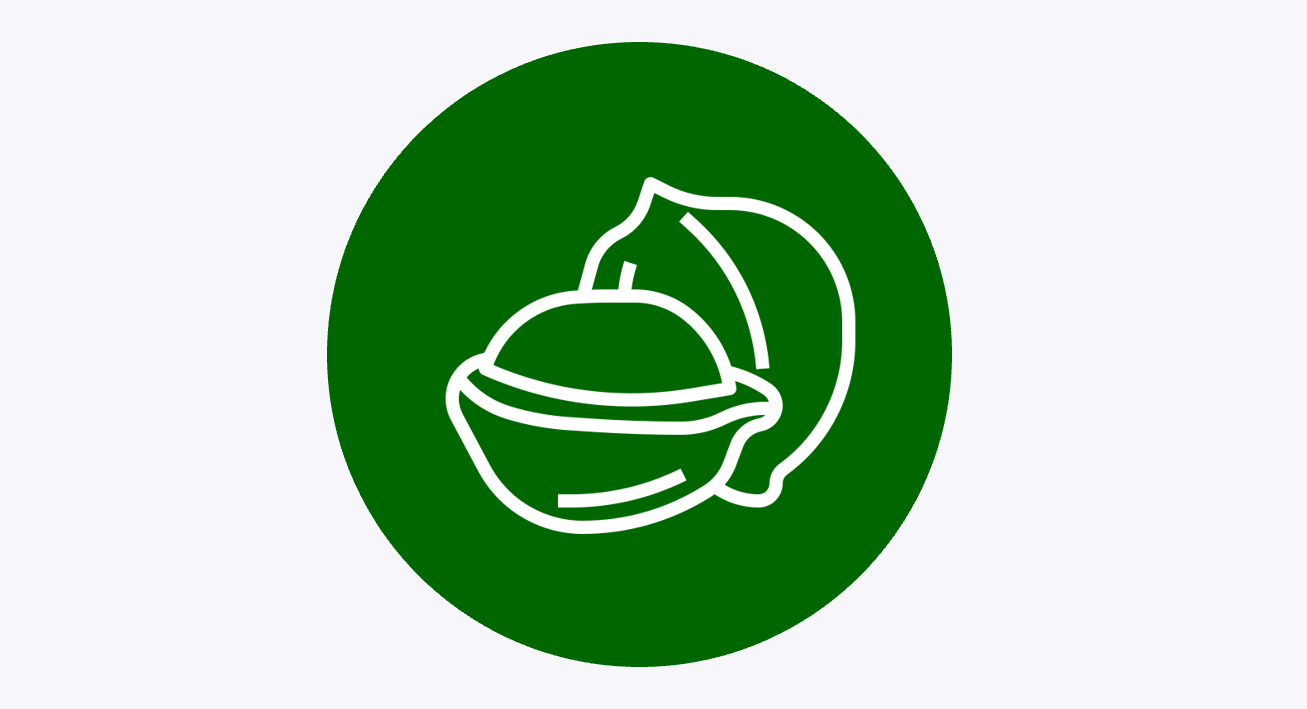 Fruits à coque & semences